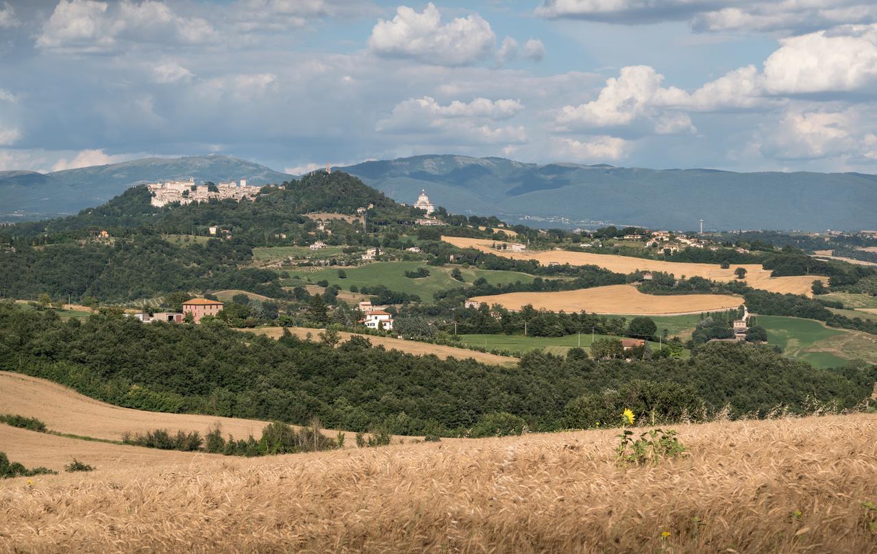 Borgo Bianchini Villa Todi Eksteriør billede