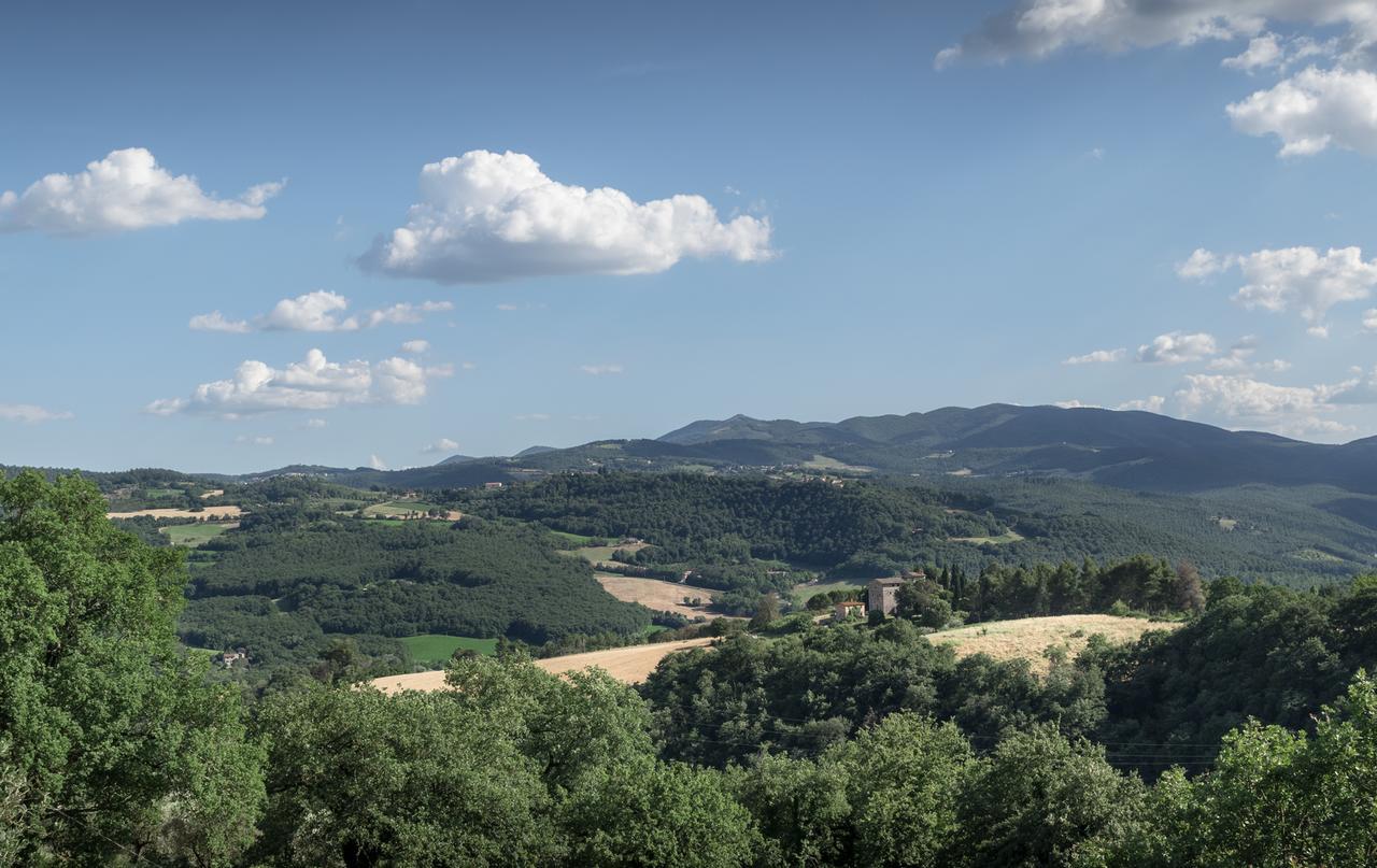 Borgo Bianchini Villa Todi Eksteriør billede